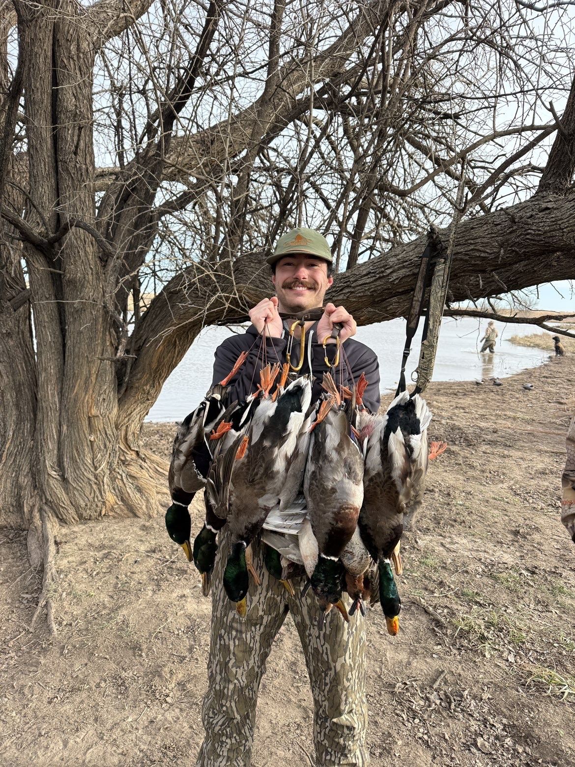 Decoys at sunrise