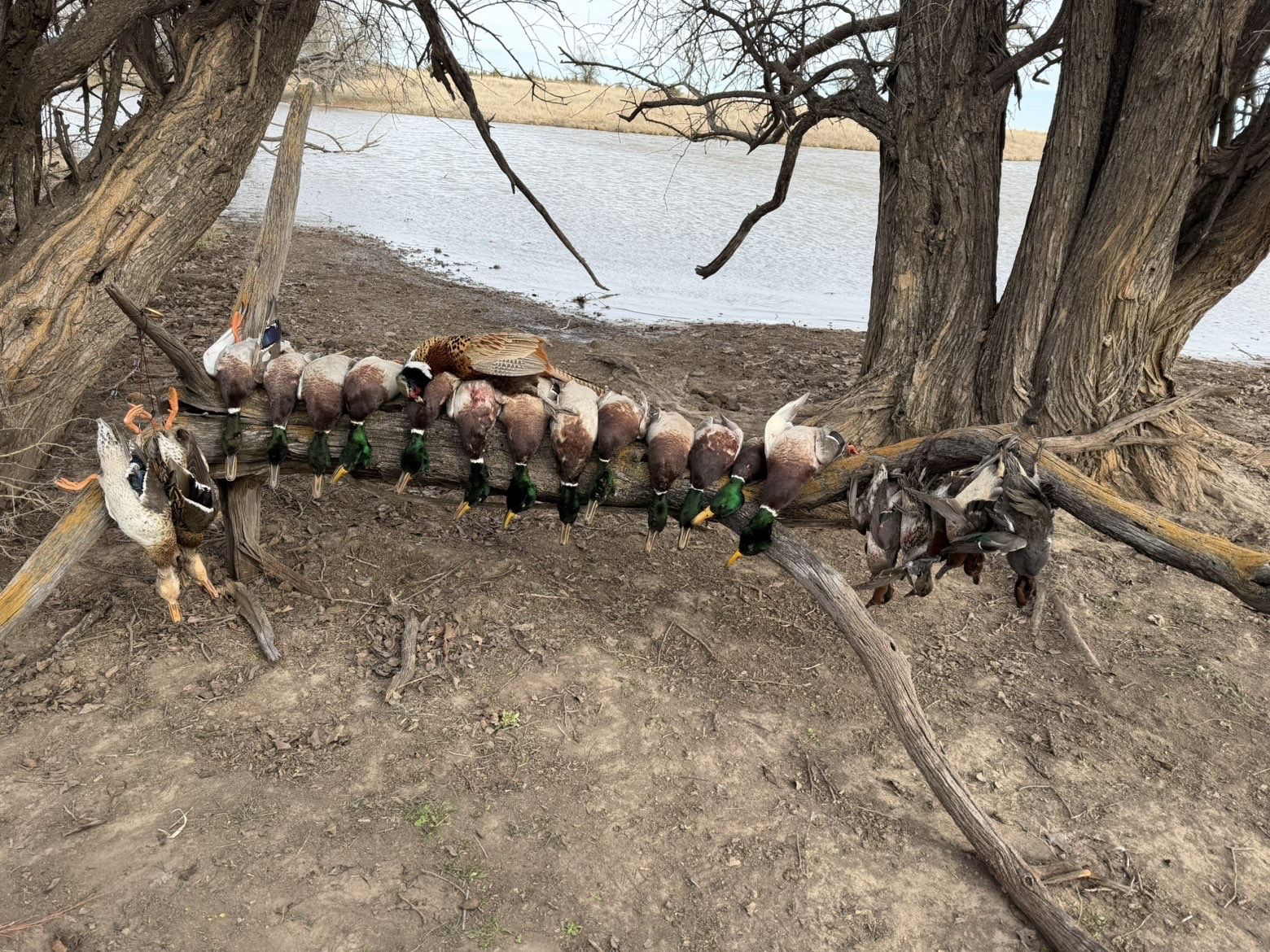 Comanche Hill Outfitters hunt 3